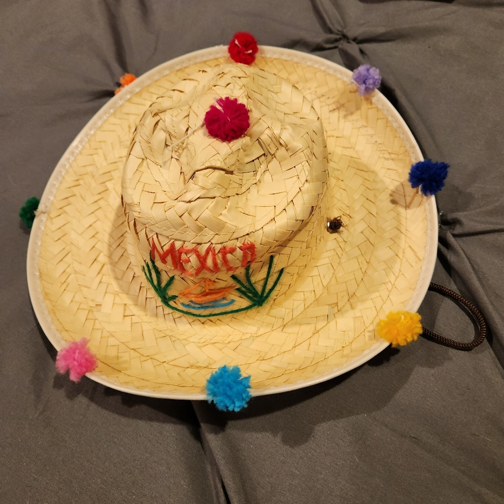 Kids Handmade Mexican Straw Sombrero | Colorful Pom Poms & Embroidery